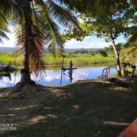 Room In Lodge - Method Living Tropical Edition Cabarete Bagian luar foto